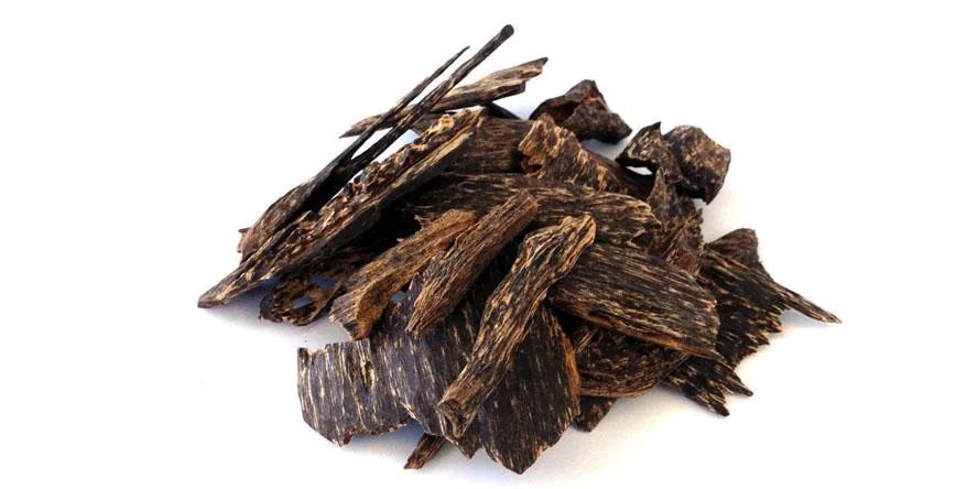 Le bois de Kyara aussi précieux que l’or