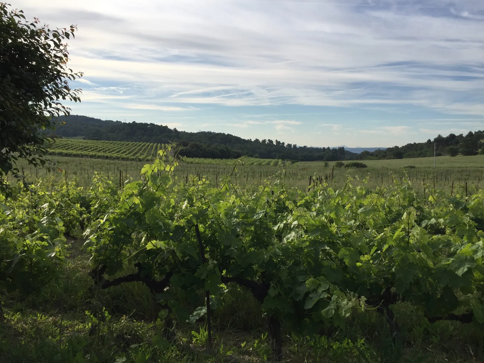 Le domaine Beauvence