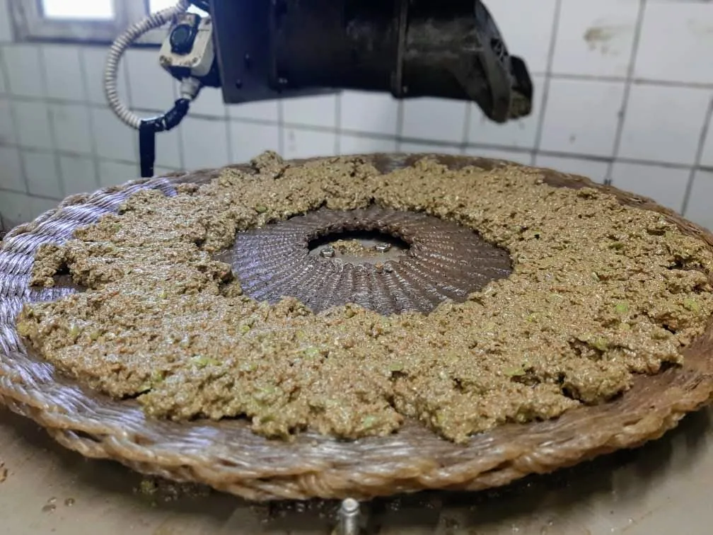 2,9 tonnes d’olives récoltées à Beauvence