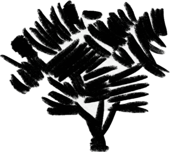 Arbre à l'encre du Domaine Beauvence